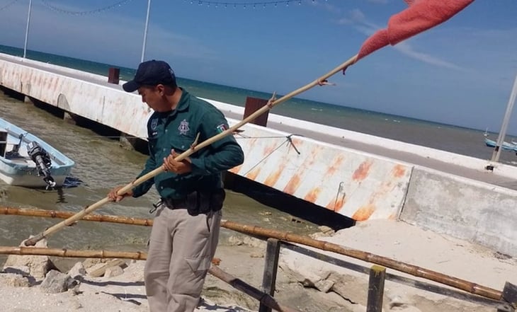 Advierten de posible marea roja en Yucatán