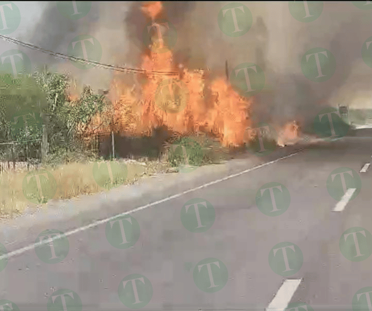 Incendio de Maleza en Ejido El Águila moviliza a Bomberos de Nadadores