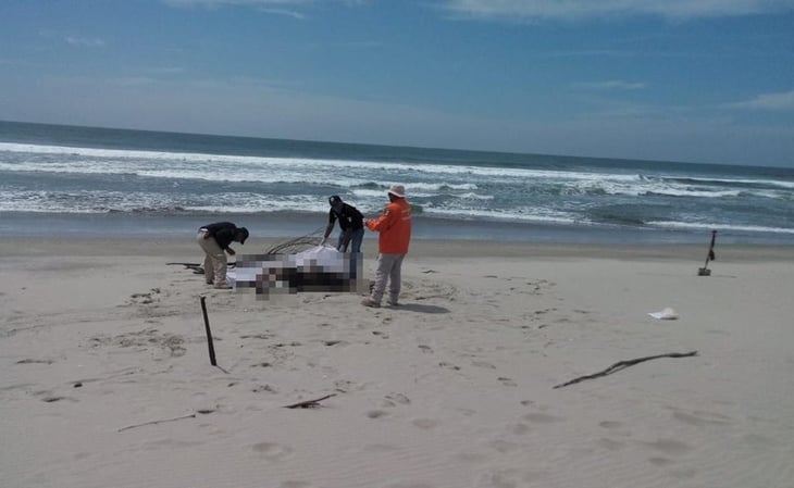 Aparecen 3 cuerpos en playas de Santa María del Mar