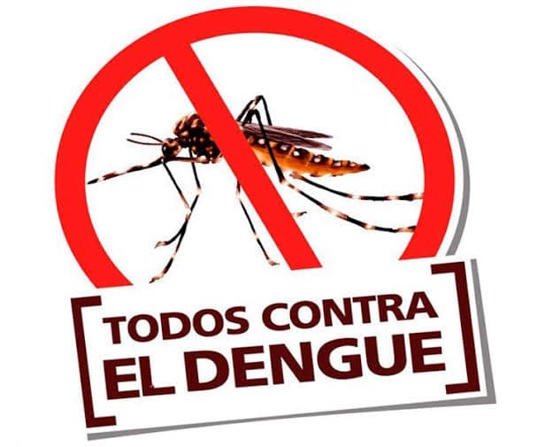 Acciones contra el dengue en Zaragoza continúan