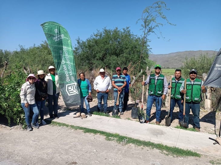Acción municipal en la reforestación de la plaza del eco en Torreón 