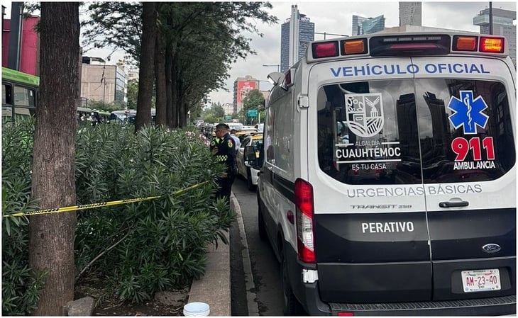 Hallan cuerpo entre matorrales de avenida Chapultepec en CDMX 
