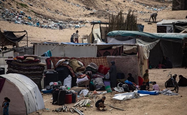 Sin champú, los piojos se propagan entre los desplazados de Gaza