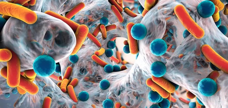 CertificaPROA en el contexto de la resistencia antimicrobiana