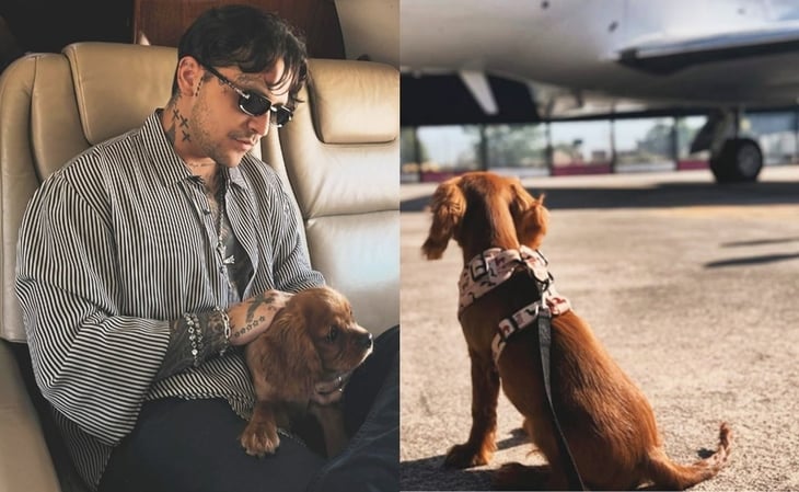 Ángela Aguilar y Christian Nodal abren Instagram para su perrito