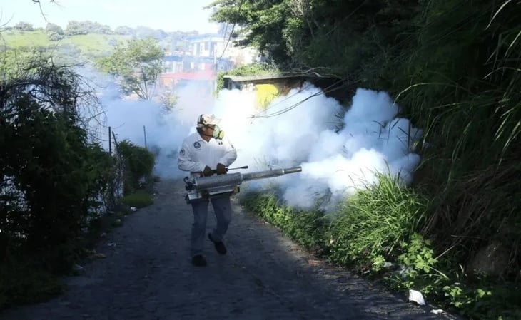 Aumentan casos de dengue en Puebla: 658 casos en este 2024