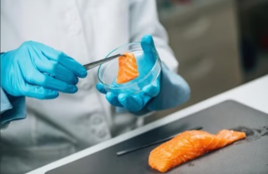 Regulación Sanitaria tomó muestras de sushi tras intoxicación