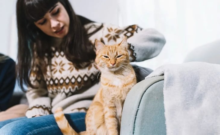 Gatoterapia: cuáles son los beneficios positivos de convivir con un gato