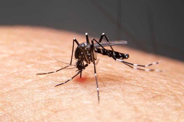 Los CDC advierten sobre la creciente amenaza del dengue este verano