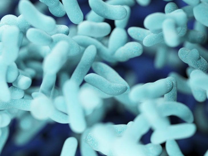 Un microbioma intestinal robusto puede ayudarte a combatir las infecciones