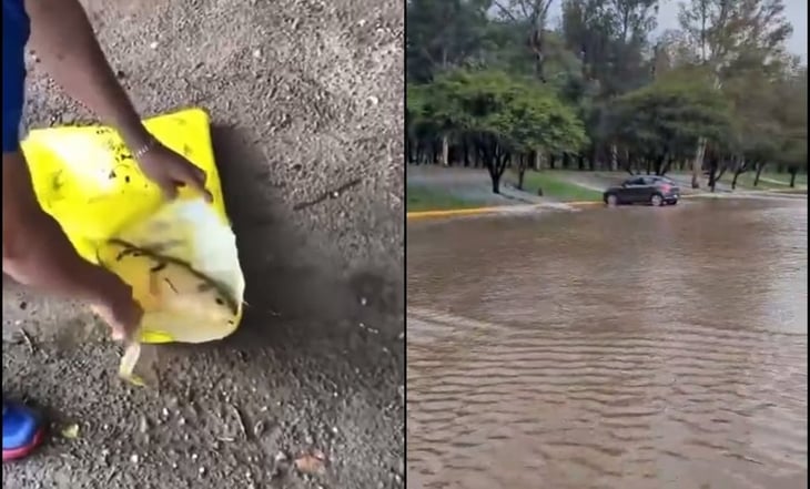 VIDEO: Se desbordan lagos del parque Tangamanga I en San Luis Potosí