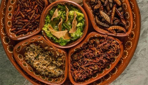 12 razones para incluir insectos en tu alimentación