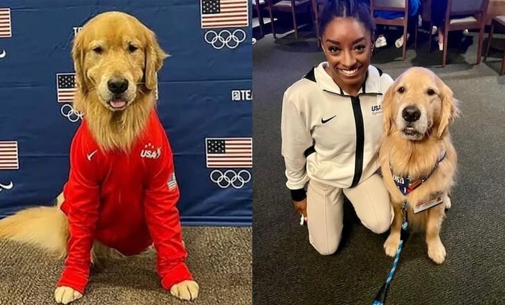 Beacon, el perro del equipo de Gimnasia de Estados Unidos que se unió para ayuda a Simone Biles