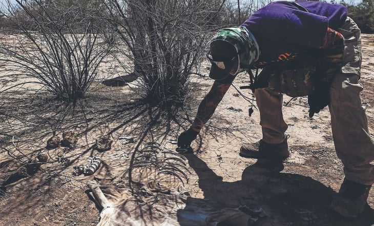 Escáneres portátiles donados por la ONU agilizan cotejo de huellas de restos humanos en Sinaloa