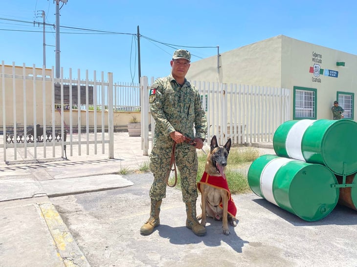 K9 se gana el corazón de soldado en el 105 Batallón de Infantería  