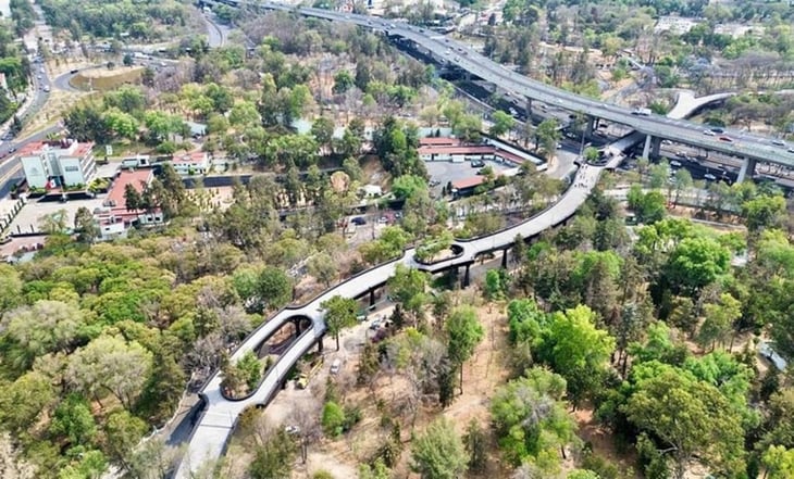 Celebran en la mañanera de AMLO avance del Proyecto Cultural Chapultepec