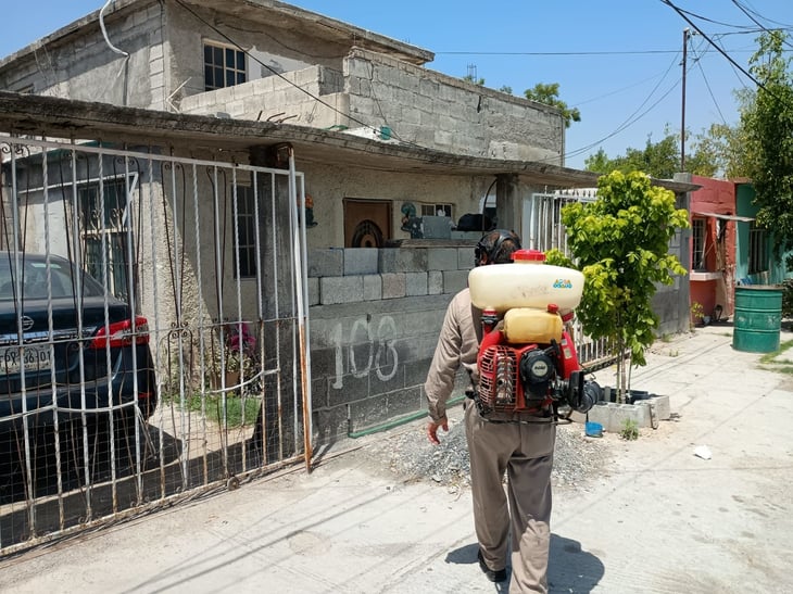 Permanente programa de fumigación en Frontera