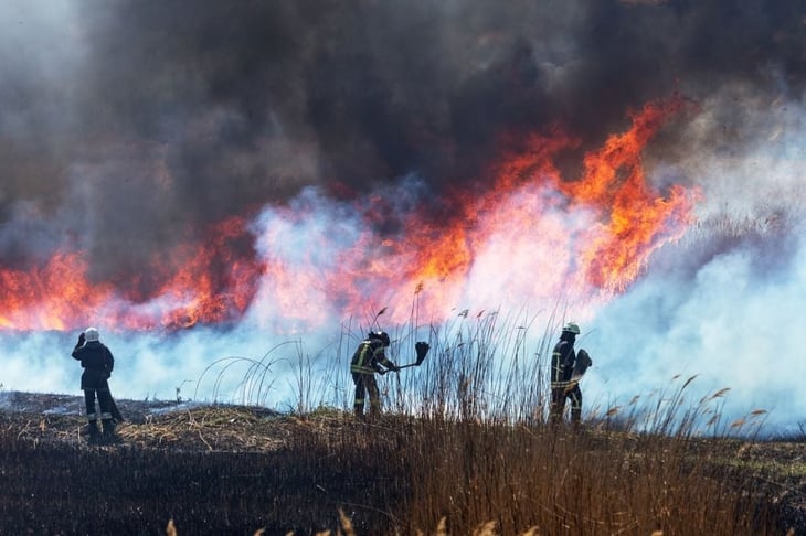 La exposición al humo de los incendios forestales se relaciona con un mayor riesgo de demencia