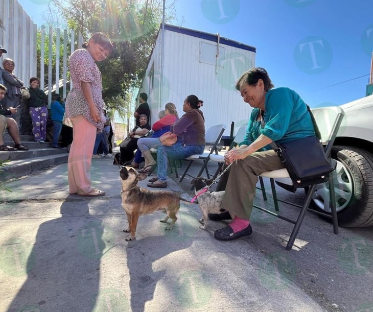 Abuelos abandonados se refugian en perritos