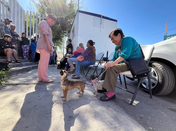 Abuelos abandonados se refugian en perritos