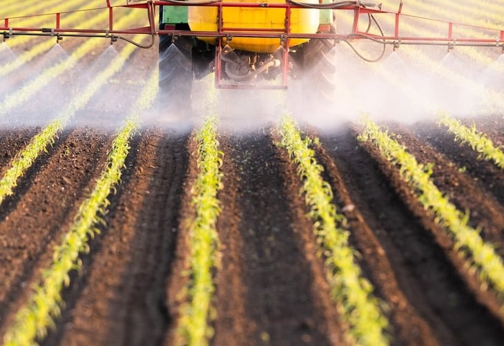 La EPA prohíbe un pesticida vegetal que puede dañar a los fetos