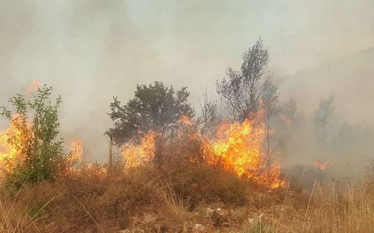 Arteaga cumple un año sin incendios forestales