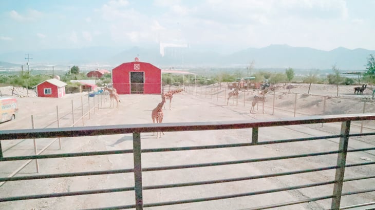 Cerca de Monclova un centro de conservación de animales XENPAL