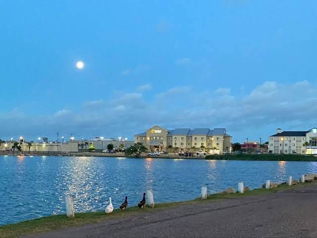 Vandalismo en el Lago del Condado de Maverick Lleva a Medidas Drásticas