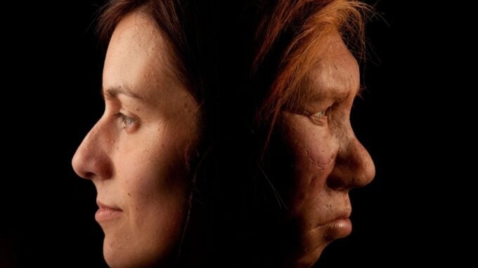 Los científicos encuentran herpes, VPH y virus del resfriado antiguos en huesos de neandertales