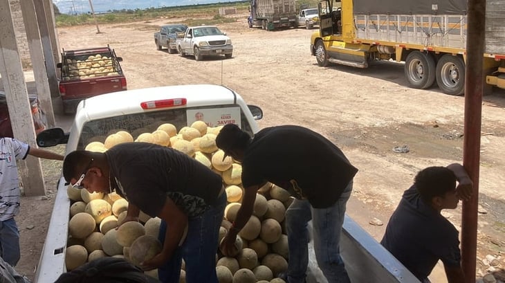 Aprueban recurso para retirar residuos de melón en parcelas de San Pedro