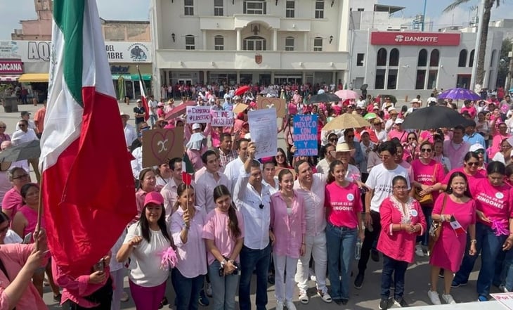 Marea Rosa convoca a otros estados a manifestarse en sus Congresos