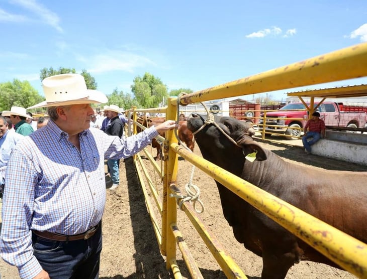 'Chema': Trabajo coordinado para fortalecer la ganadería local    