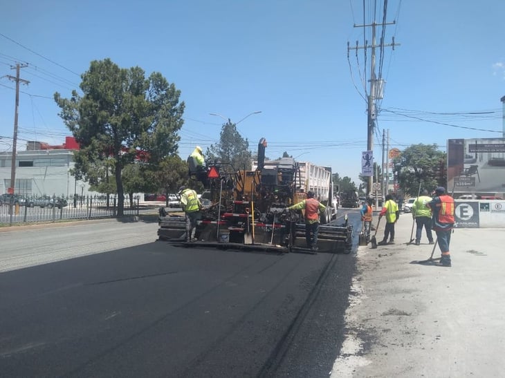 Propone recarpeteo nocturno para no dañar árboles de las principales avenidas