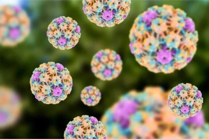 El HPV podría matar esperma