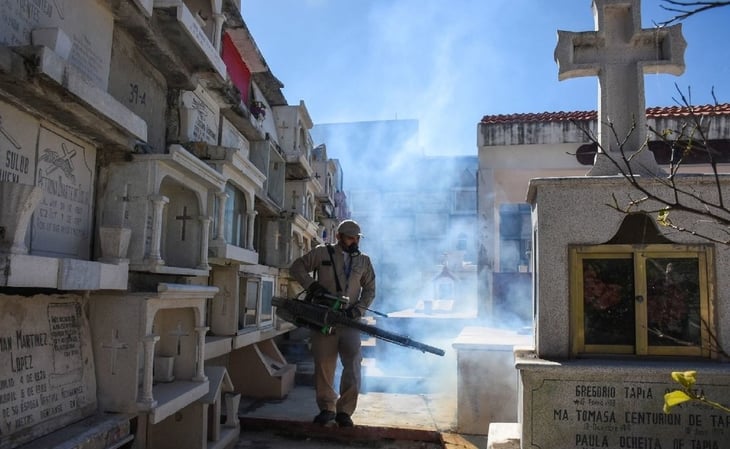 Aumentan 238 por ciento casos de dengue en México: muertes se multiplican por 8 en 2024