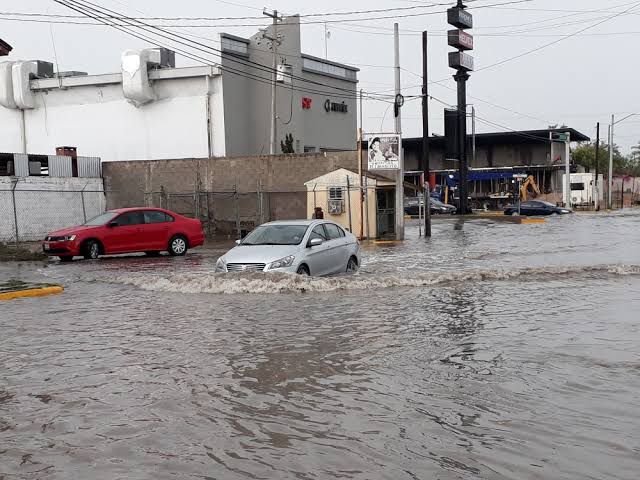 Lluvias insuficientes en PN: El sector agrícola sigue sin alivio