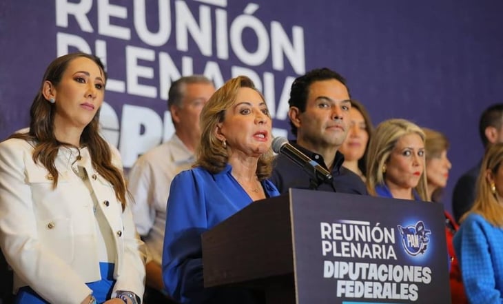 PAN llama a oposición en el Senado a rechazar reforma judicial