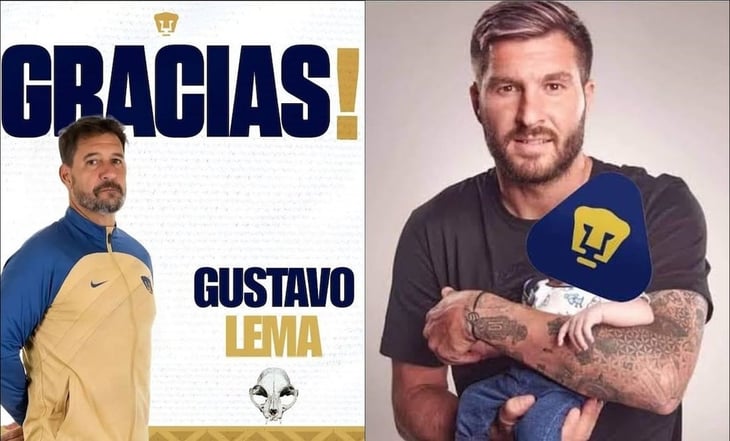 Pumas sufre dolorosa derrota ante Tigres en C.U. y es víctima de los mejores memes