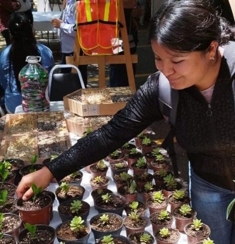 Realizan festival de plantas nativas en Saltillo