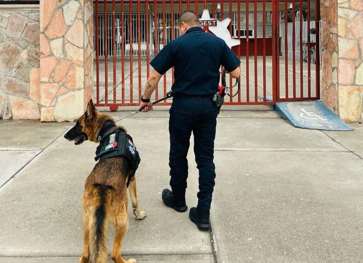 Agente K9 muerde el brazo del oficial que lo adiestraba