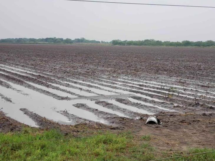 Se recupera el campo con las lluvias recientes, pero no es suficiente