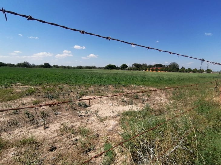 Campo sin riego a sembradíos al cortar CFE tarifa agrícola