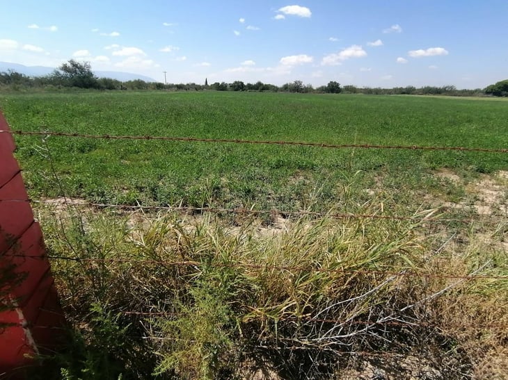 Agricultura pide que tramiten su permiso