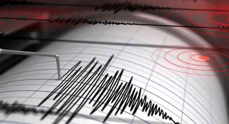 Sismo de magnitud 4.2 sacude playas de Acapulco, Guerrero