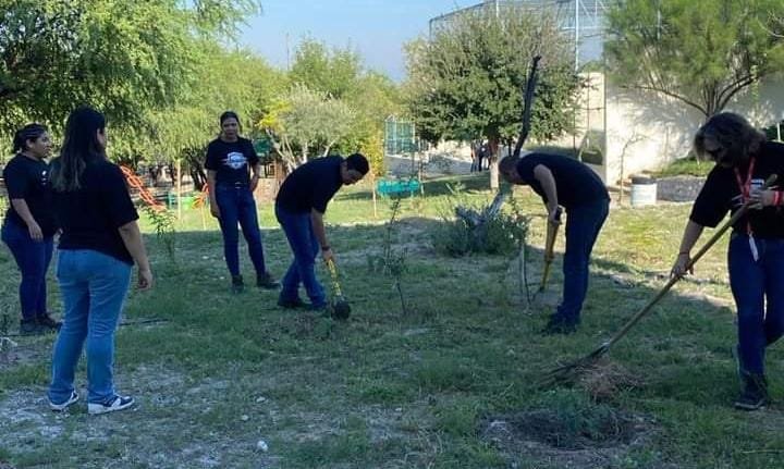 Empresa Trinity Rail da mantenimiento en su área del Ecoparque