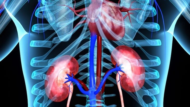 El tratamiento combinado duplica la supervivencia de los pacientes con cáncer de riñón avanzado