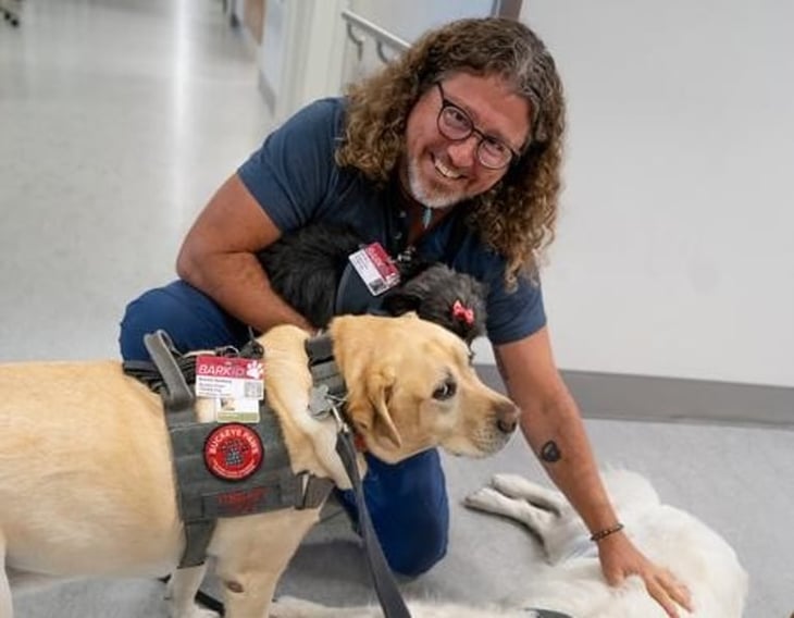 Los perros de terapia también pueden aliviar el estrés de médicos y enfermeras