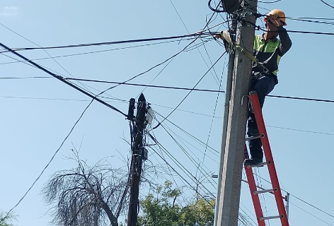 Labores de ordenamiento de cableado en Torreón Jardín