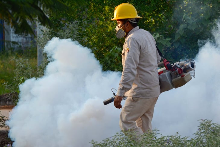 Vectores de SSa refuerza combate contra el dengue en Monclova