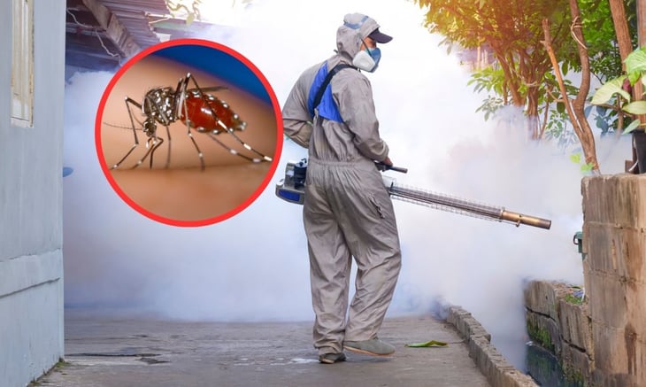 Vectores de SSa refuerzan combate contra el dengue en Monclova y Frontera